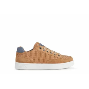 Geox | J255VB | DJ Rock Boy | Unisex Casual Trainer | Cognac